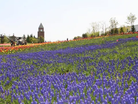 國營瀧野鈴蘭丘陵公園