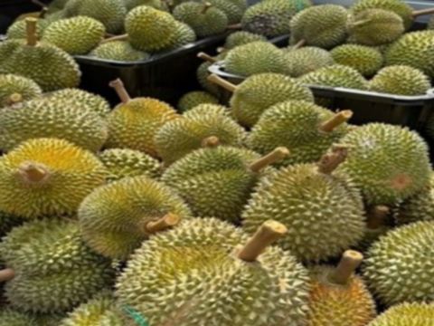 馬六甲果園Eco Do Bem Farm