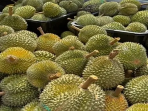 馬六甲果園Eco Do Bem Farm