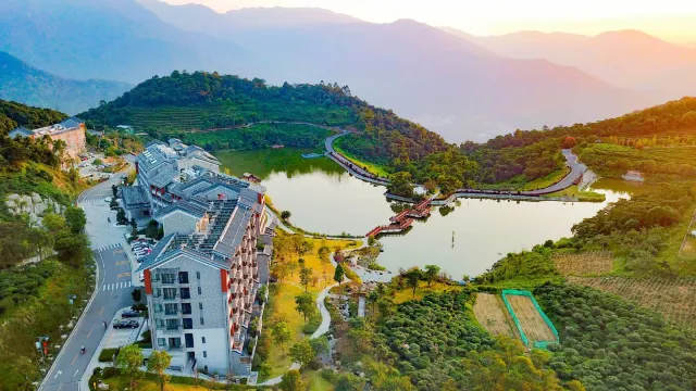 雲浮「象窩山」