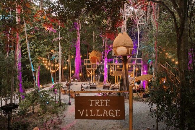 蘭卡威夢幻森林體驗 Dream Forest 