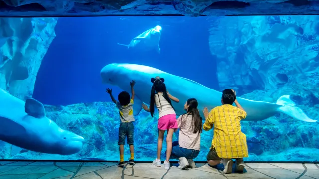 珠海長隆海洋王國