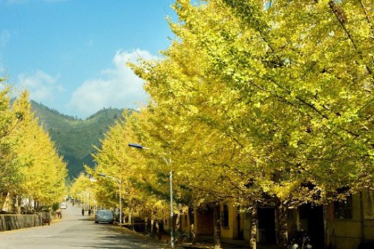 南雄帽子峰林場