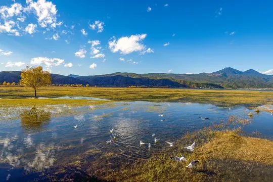 拉市海國家濕地公園