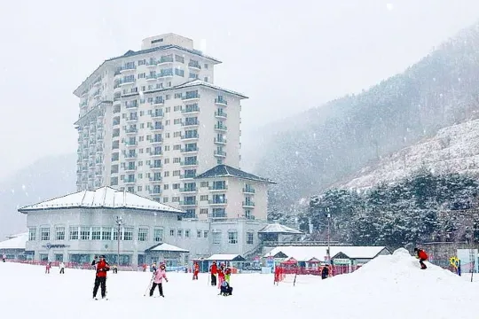 江川Elysian度假村