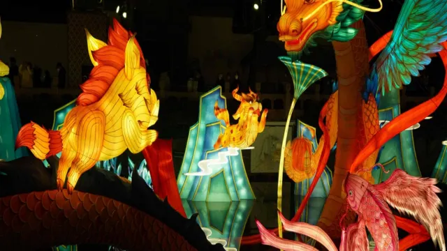 「冬季慶典」清溪川第17屆首爾燈節Seoul Lantern Festival