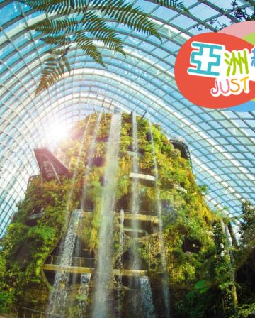 新加坡 4天輕鬆玩樂團  【純玩團】不設指定購物點 《一日自由活動、Gardens by the Bay濱海灣花園~Flower Dome & Cloud Forest、聖淘沙島、獅頭魚尾像》
