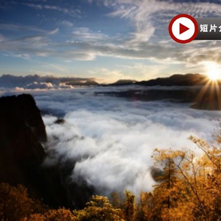 高雄+阿里山《賞日出雲海》+台北5天深度遊 阿里山保證景區內+賞晚霞~祝山站乘小火車賞日出/雲海~平溪放天燈~故宮博物館南院