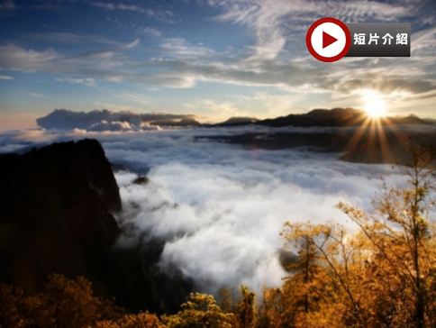 高雄+阿里山《賞日出雲海》+台北5天深度遊 阿里山保證景區內+賞晚霞~祝山站乘小火車賞日出/雲海~平溪放天燈~故宮博物館南院