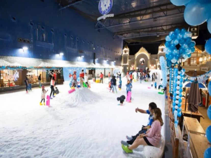 Dream World 夢幻真雪城