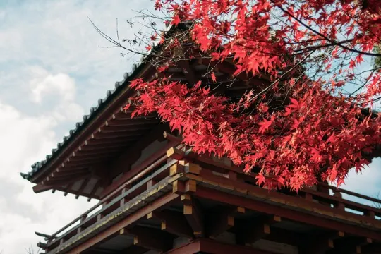 太宰府～天滿宮