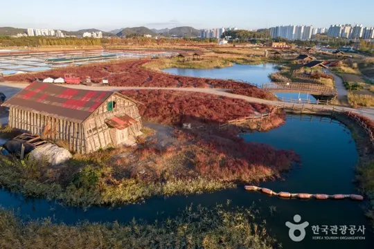 始興河溝生態公園 秋