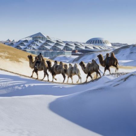 【5鑽】冬季內蒙古度假奢享蓮沙、呼和浩特、包頭、響沙灣7天之旅
響沙灣蓮沙度假島~蓮花酒店、沙漠活動、紅石崖生態旅遊區、馬鬃山滑雪、民族服飾旅拍、清真大寺、五當召、大召寺、敕勒川文化園、內蒙古博物院