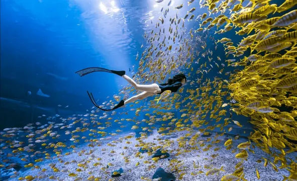 小梅沙海洋世界