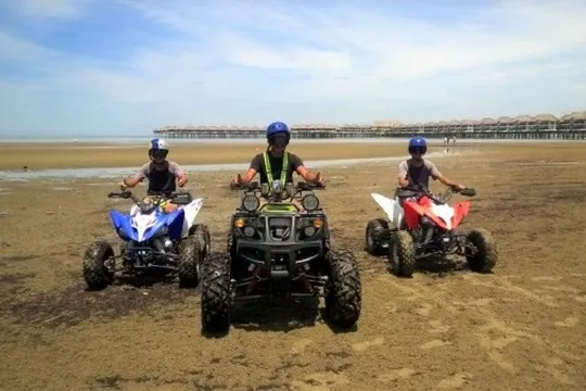 Golden Palm Tree Sepang