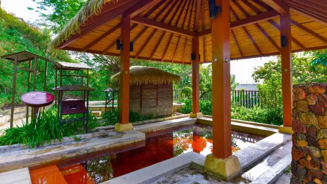 金葉子溫泉度假酒店