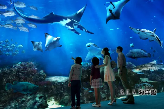 永安旅游