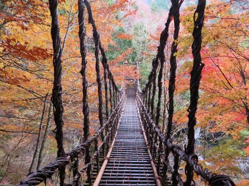 祖谷溪谷~蔓藤橋