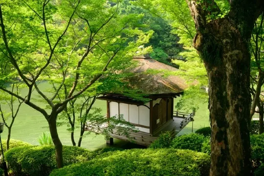 紅葉溪庭園夏天@和歌山旅遊局