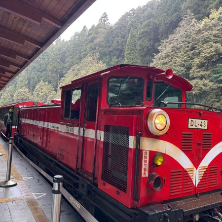 新登場  台中+台北+阿里山+嘉義 精選5天之旅 梧棲漁港、高美濕地、高美燈塔、阿里山森林風景(重本安排小火車 )、苗栗百變影城、十分瀑布、十分老街祈福天燈