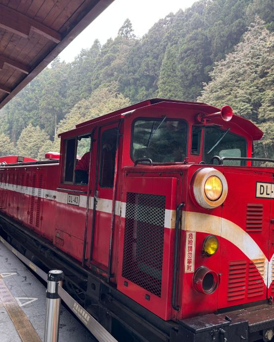 新登場  台中+台北+阿里山+嘉義 精選5天之旅 梧棲漁港、高美濕地、高美燈塔、阿里山森林風景(重本安排小火車 )、苗栗百變影城、十分瀑布、十分老街祈福天燈
