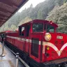 新登場  台中+台北+阿里山+嘉義 精選5天之旅 梧棲漁港、高美濕地、高美燈塔、阿里山森林風景(重本安排小火車 )、苗栗百變影城、十分瀑布、十分老街祈福天燈