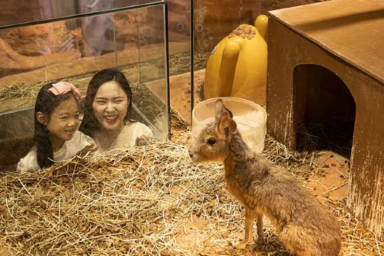 Zoolung Zoolung室內動物園