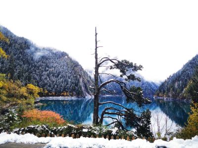 【4鑽】《九寨溝》四川大熊貓、神秘三星堆  全日充裕時間遊覽九寨溝(童話世界)、黃龍(11月)/牟尼溝(12月起)、都江堰熊貓樂園(觀看國寶大熊貓)、三星堆博物館(包專業講解導賞)、松潘古城、成都