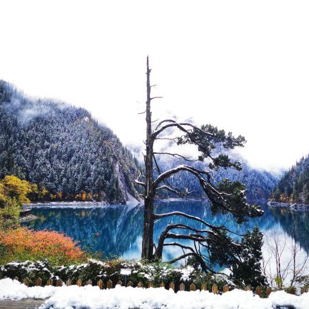 《九寨溝‧牟尼溝‧成都》全日充裕時間遊覽九寨溝(童話世界)、牟尼溝(世界落差最大鈣化疊瀑布)、都江堰熊貓樂園(觀看國寶大熊貓)、茶馬重鎮~松潘古城、成都太古里City Walk 6天升級純玩團