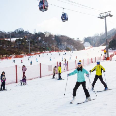 洪川+首爾冬日滑雪5天之旅 ※【Sono Belle Vivaldi Park索諾美麗維瓦爾第公園度假村+冬日滑雪體驗+「梅峰山頂」觀光纜車】、月尾島海鷗船體驗、士多啤梨園、愛寶樂園Everland