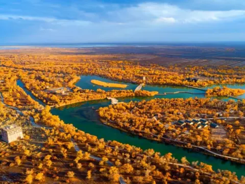 紅海胡楊林公園