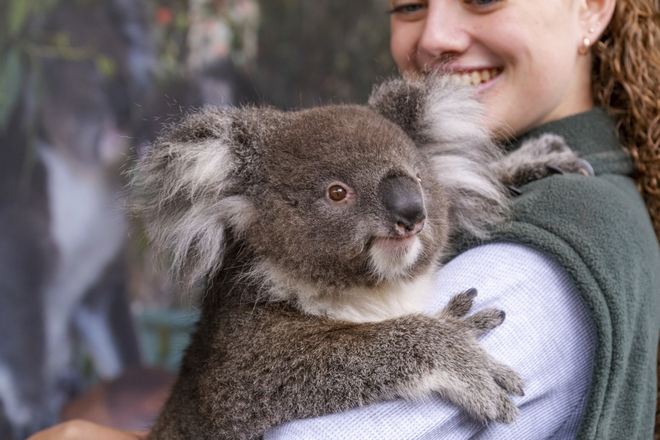 卡弗沙姆野生動物園