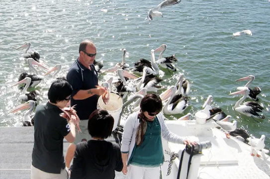 翠兒河遊船之旅