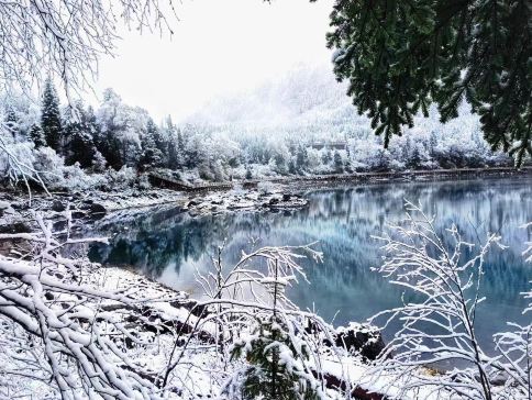 【5鑽】《九寨溝‧西九高鐵》6天團 四川四大世界遺產 九寨溝(童話世界)、黃龍(11月)/牟尼溝(12月起)、樂山大佛(遊船)、熊貓之鄉~臥龍國家級保護區(中華大熊貓苑)、成都 