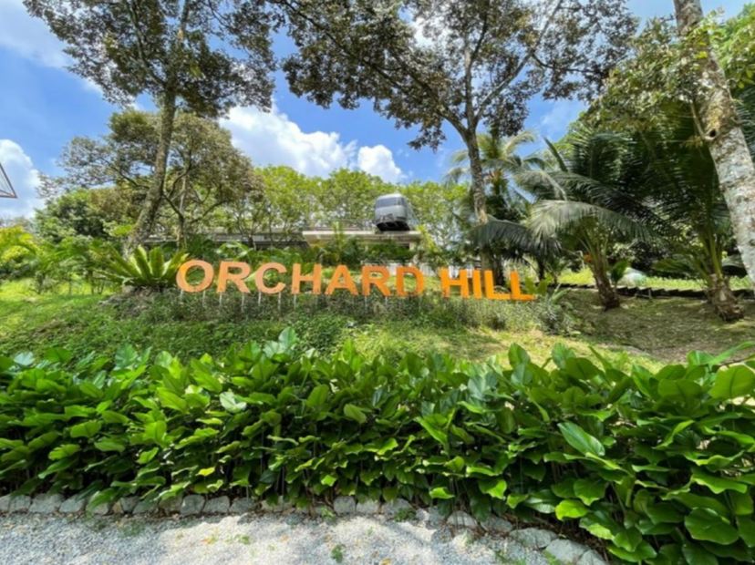 人氣果園~ Orchard Hill