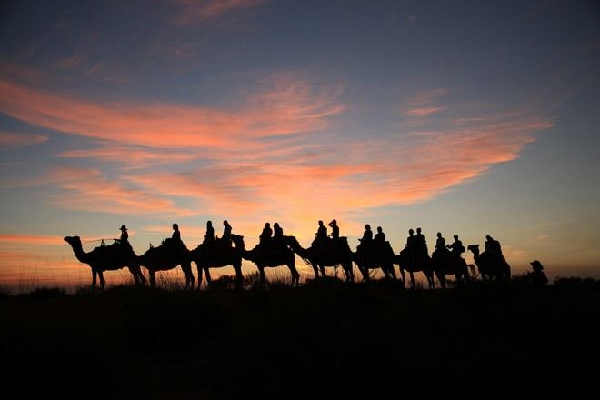 烏魯魯騎駱駝日出