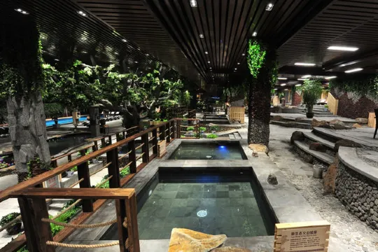 王朝聖地溫泉酒店