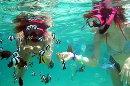 ABC沙灘俱樂部徒手浮潛