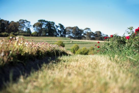 阿得萊德JuliqueFarm