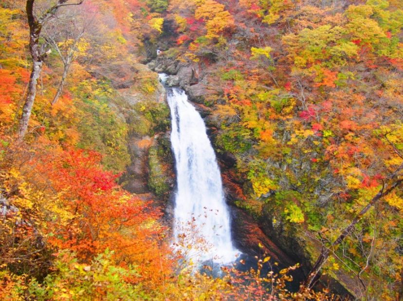 秋保瀑布