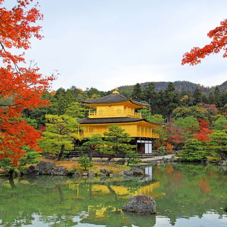 大阪、京都、奈良、和歌山 美景玩樂5天之旅【尊享香港航空貴賓室】賞紅葉名所(京都「世界文化遺產」金閣寺、「日本百大名城」和歌山城、紅葉溪庭園、「世界文化遺產」奈良東大寺、神鹿公園)