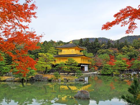 大阪、京都、奈良、和歌山 美景玩樂5天之旅【尊享香港航空貴賓室】賞紅葉名所(京都「世界文化遺產」金閣寺、「日本百大名城」和歌山城、紅葉溪庭園、「世界文化遺產」奈良東大寺、神鹿公園)