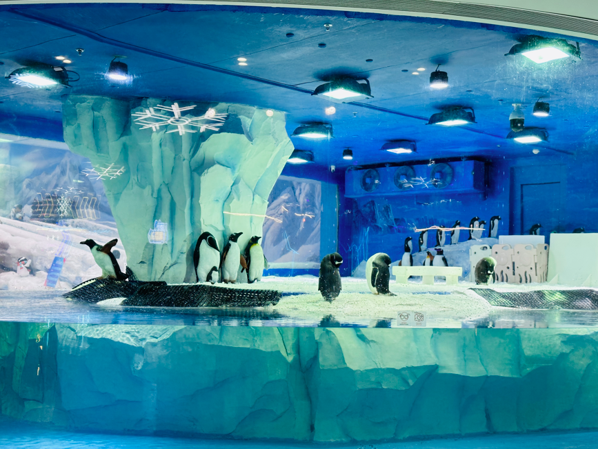 正佳企鵝冰雪世界