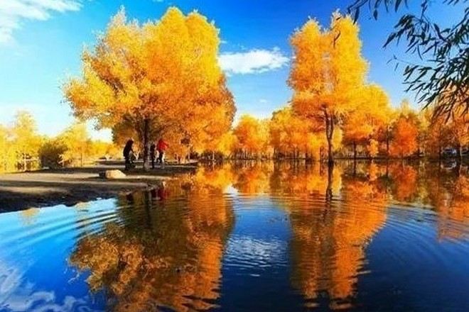 紅海胡楊林公園