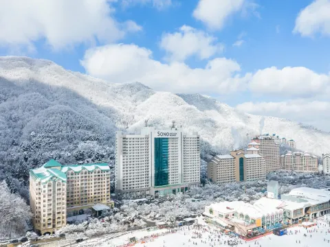 Sono Belle Vivaldi Park 索諾美麗維瓦爾第公園度假村