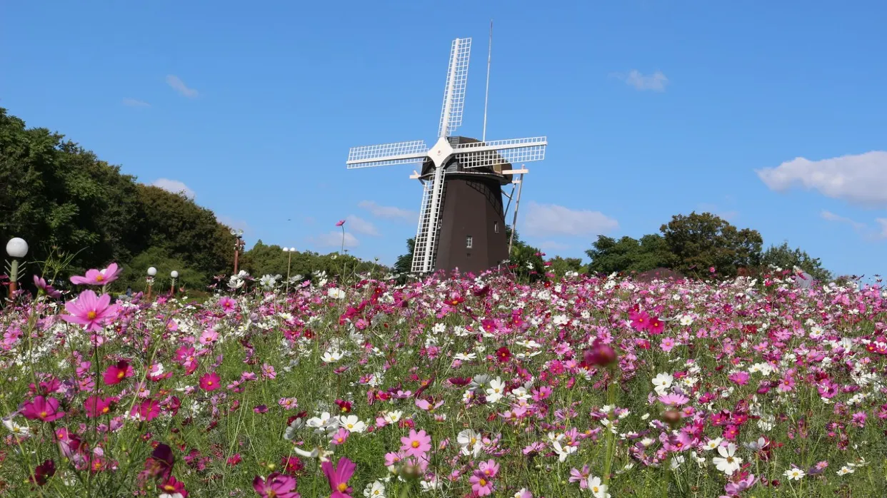 花博紀念公園鶴見綠地_秋