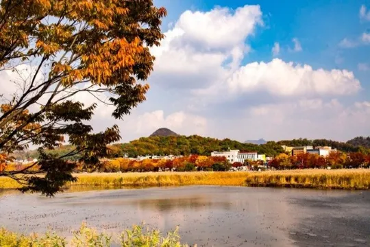 安山花郎遊樂園