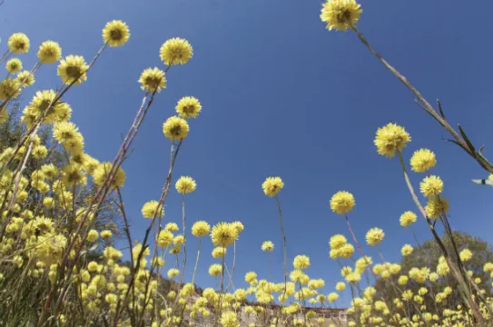 科爾辛自然保護公園