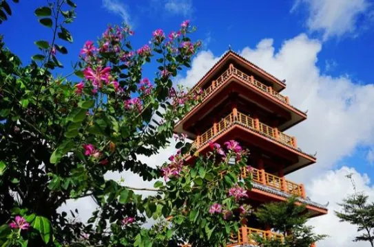 臨春嶺森林公園