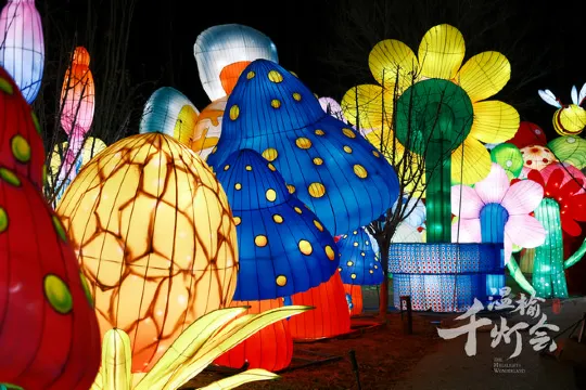 炫彩千燈會